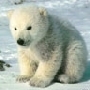 Ma Photo